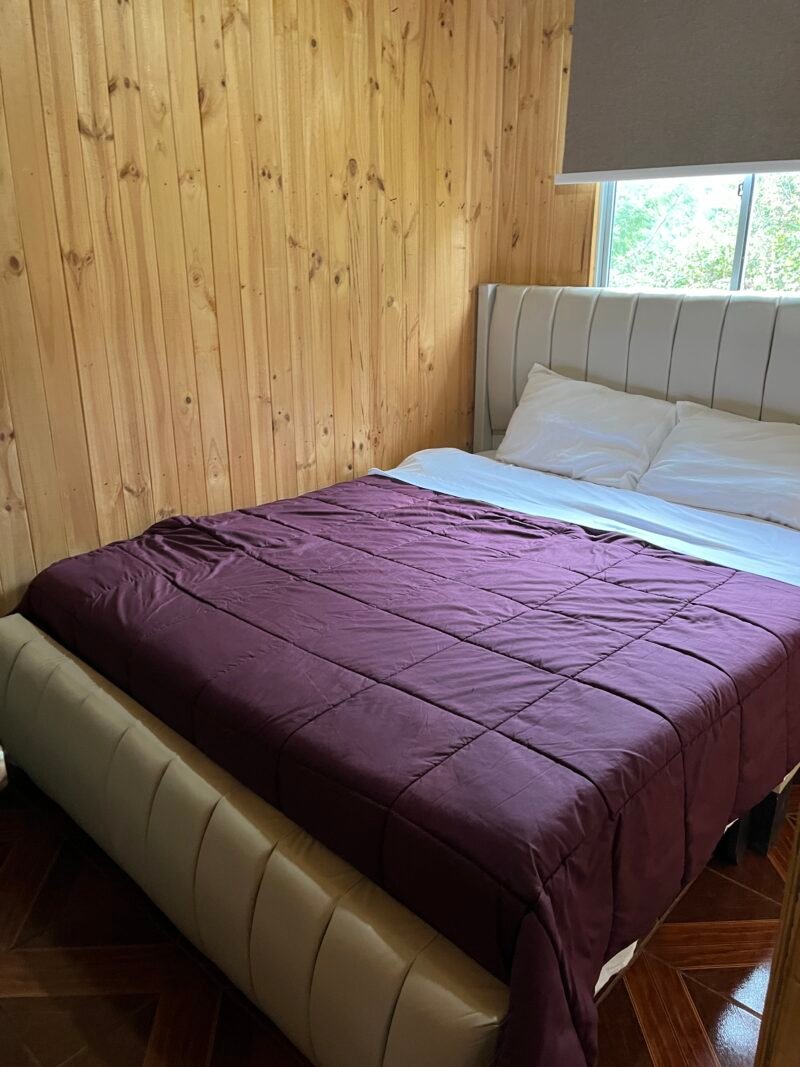 Cabaña Araucaria (5 Personas) - Imagen 7