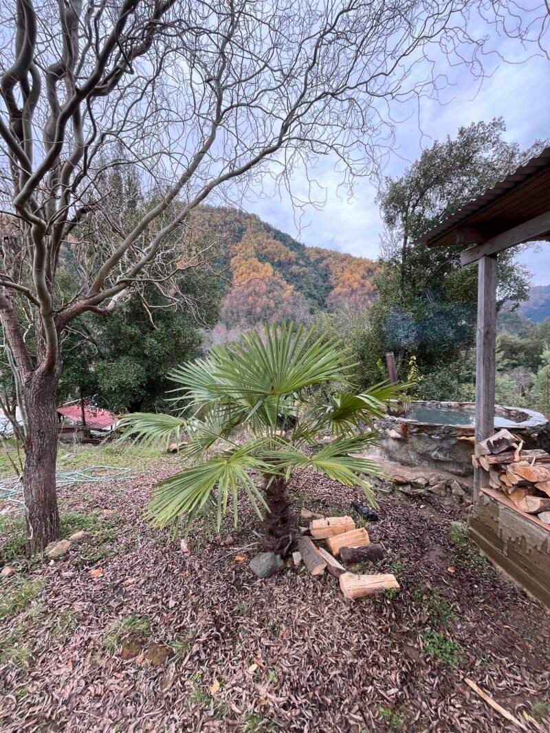 Cabaña Araucaria (5 Personas) - Imagen 25