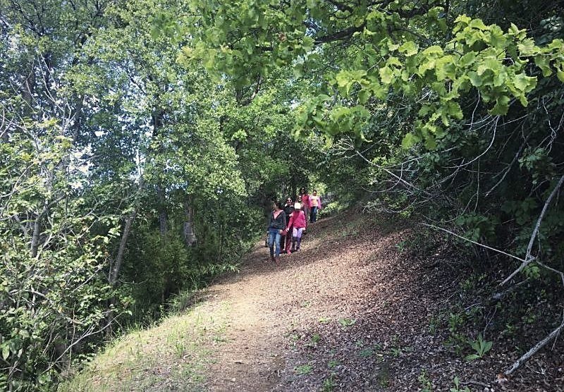 Grupo caminando por un sendero de bosque
