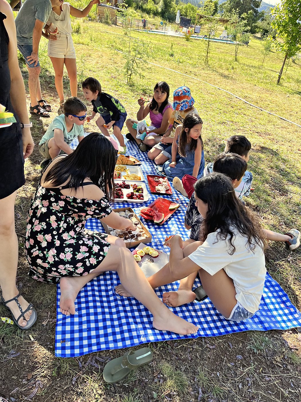 Picnic con manta a cuadros en el pasto, con frutas y tablas para compartir